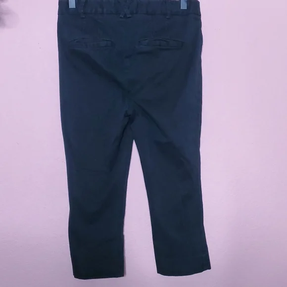 Anthropologie Cropped Skinny Pedal Pusher Pants - Picture 9 of 11